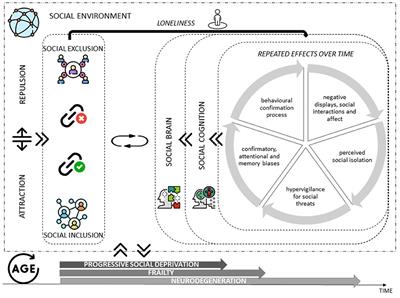 Feelings of loneliness and isolation: Social brain and social cognition in the elderly and Alzheimer's disease